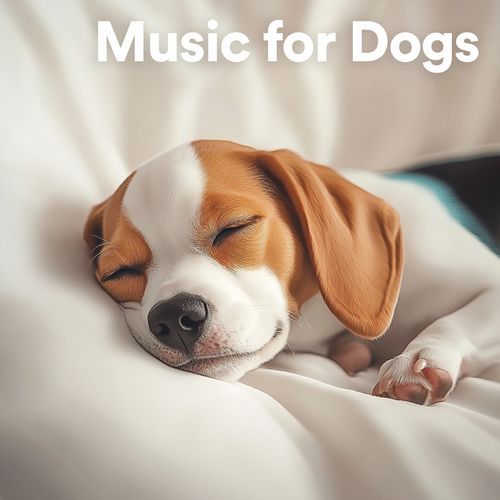 Music for Dogs