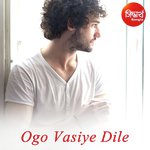 Ogo Vasiye Dile