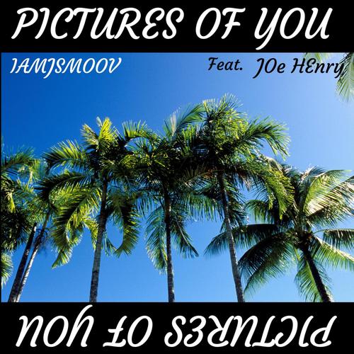 Pictures of You (feat. Joe Henry)_poster_image