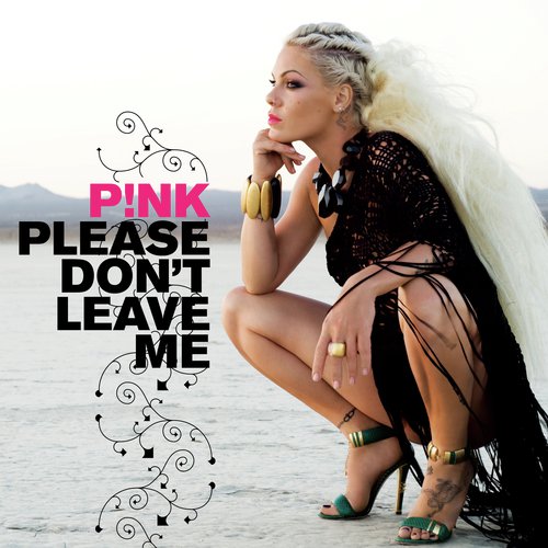 Please Don&#039;t Leave Me_poster_image