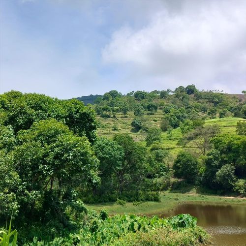 Sawaal (feat. SALINI)