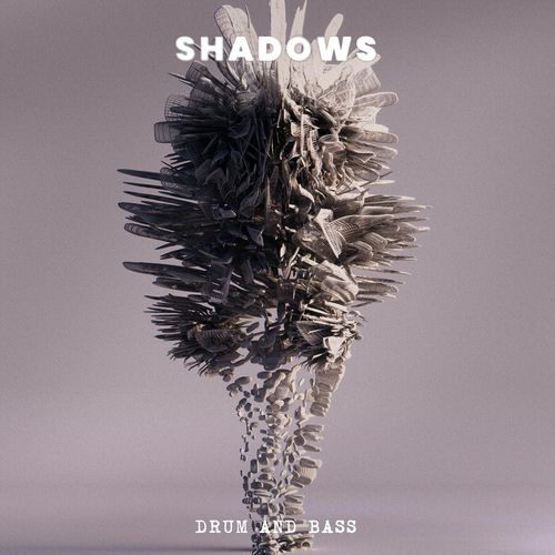 Shadows