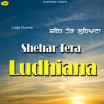 Mundeya Di Jind Kad Layi