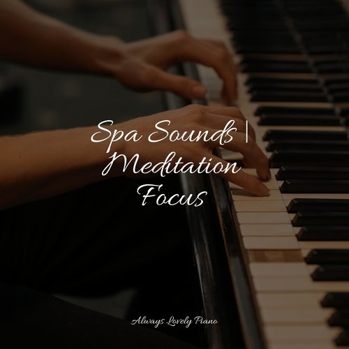 Spa Sounds | Meditation Focus