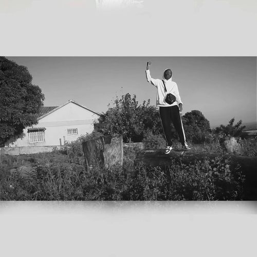 TRAVIS cover art