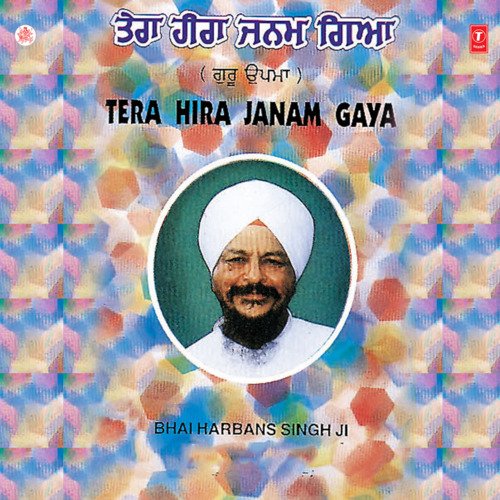 Tera Heera Janam Gaya Vol-35