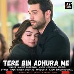 Tere Bin Adhura Me