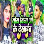 Tora Bina Ji Ke Dekhaeib