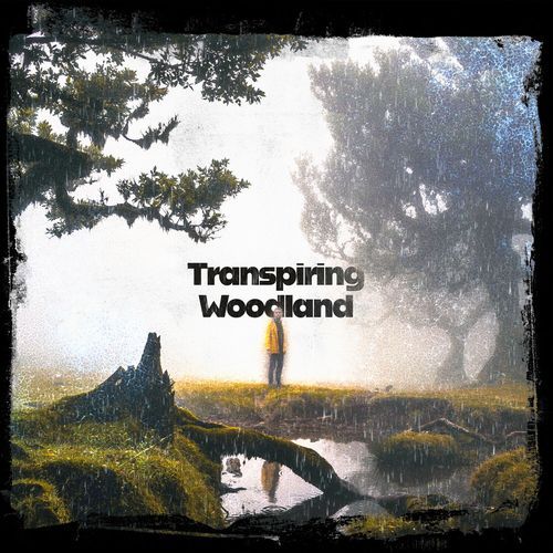 Autumn Typically cover art