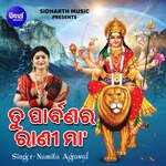 Tu Parbanara Rani Maa