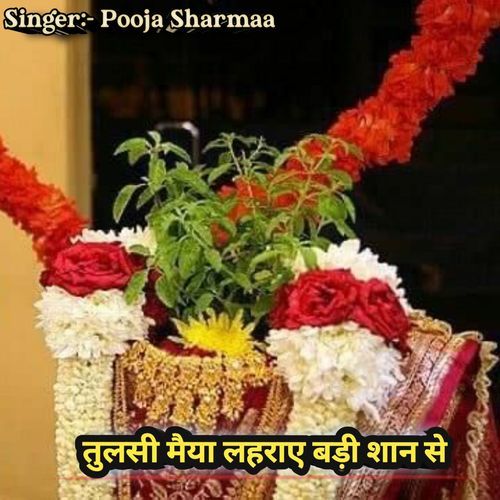 Tulsi Maiya Lehraye Badi Shaan Se