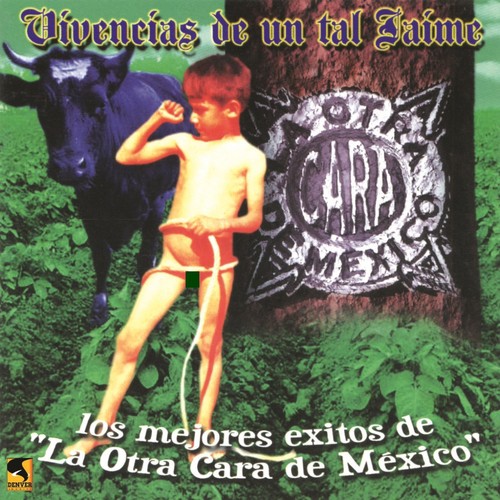 Jaime cover art