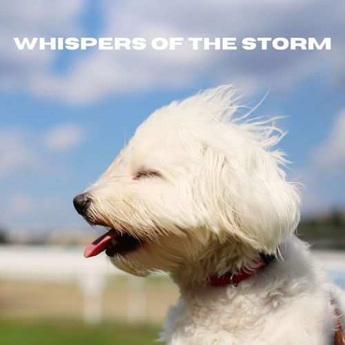 Whispers of the Storm