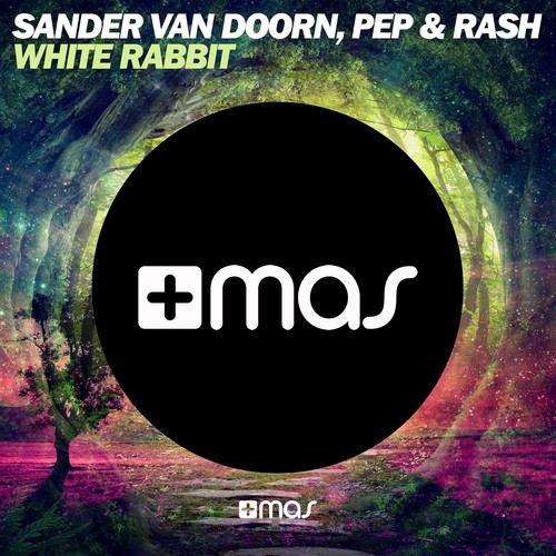 White Rabbit 1 Lyrics Sander Van Doorn Pep Rash Only on JioSaavn