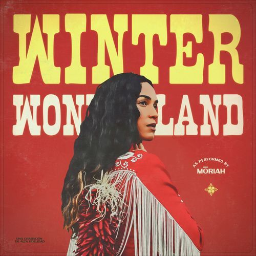 Winter Wonderland_poster_image