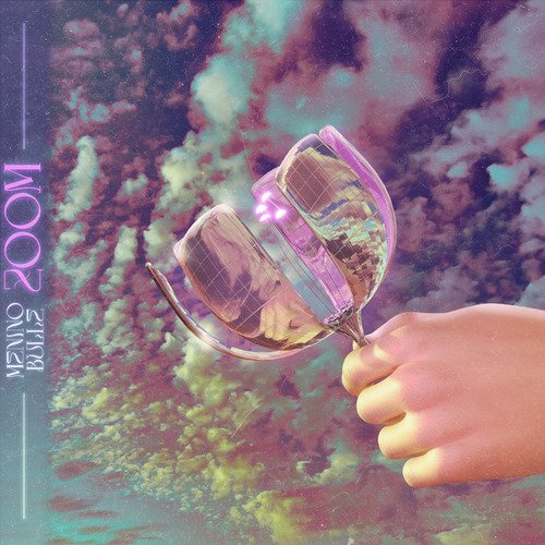 Zoom cover art