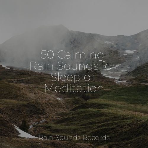 50 Calming Rain Sounds for Sleep or Meditation