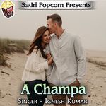 Dil Me Kuch Kuch Hota Hai