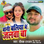 Bagi Ballia Mein Jalwa Ba artwork