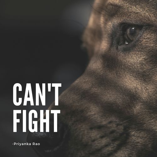 Can't Fight