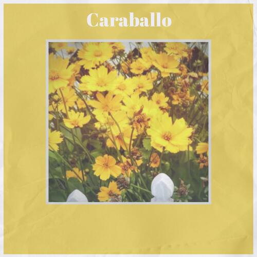 Navy Camaro cover art