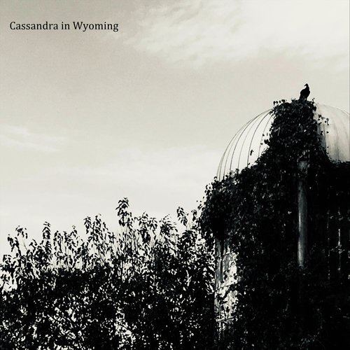 To the Fields cover art