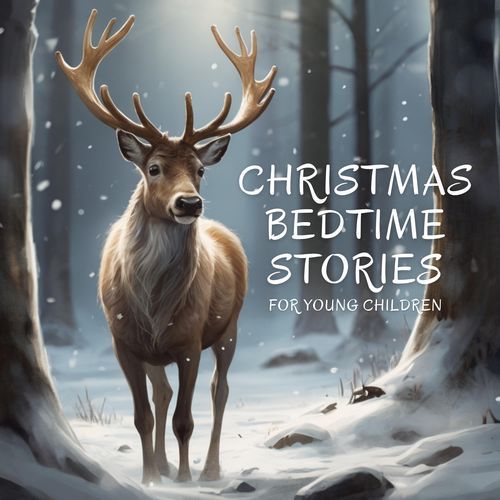 Christmas Bedtime Stories for Young Children_poster_image