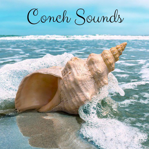 Conch Sounds