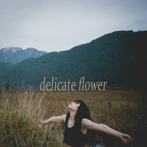 Delicate Flower_poster_image