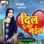 Dil Dukha Gail (SAD SONG)