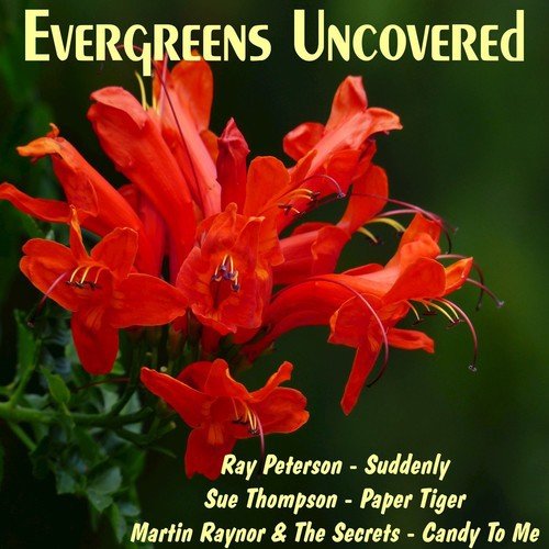 Evergreens Uncovered