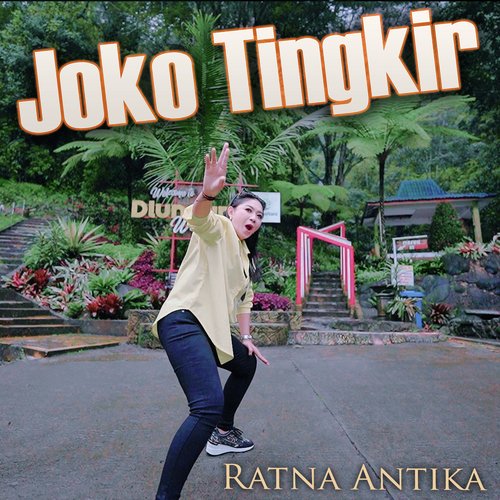 Joko Tingkir