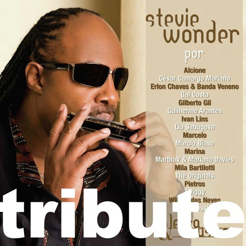 Sabe a Tradução da Música: I Just Called to Say I Love You - Stevie W