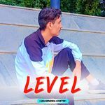 Level