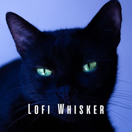 Lofi Kitty Serenity cover art