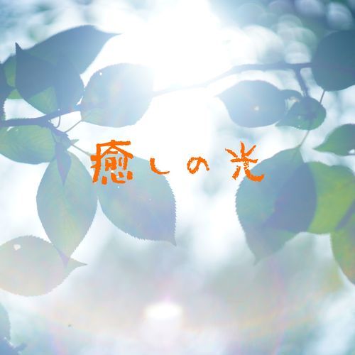 癒しの光