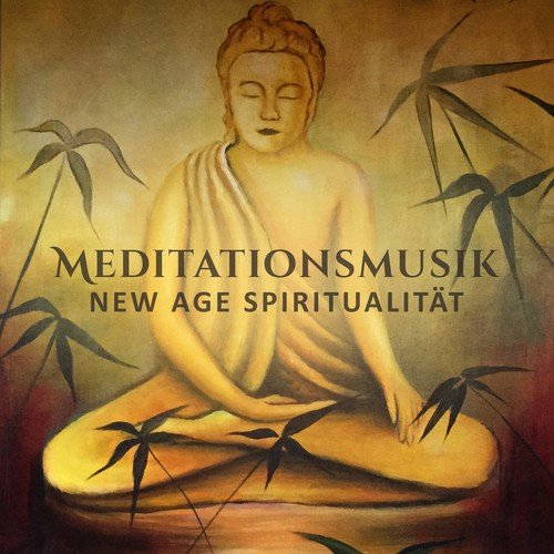 Musik für die Seele Universum (Birds & Rain) cover art