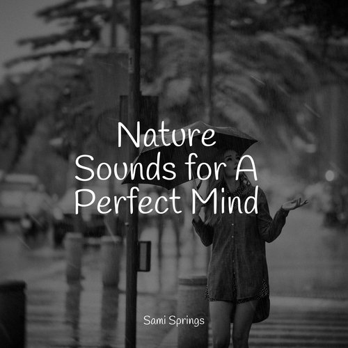 Nature Sounds for A Perfect Mind_poster_image