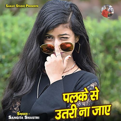 Palke Se Utari Na Jaaye