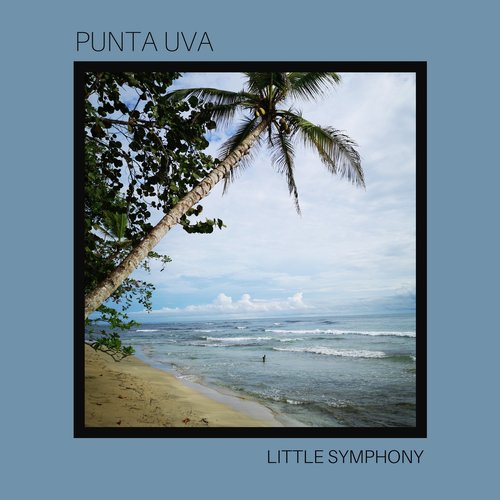 Punta Uva