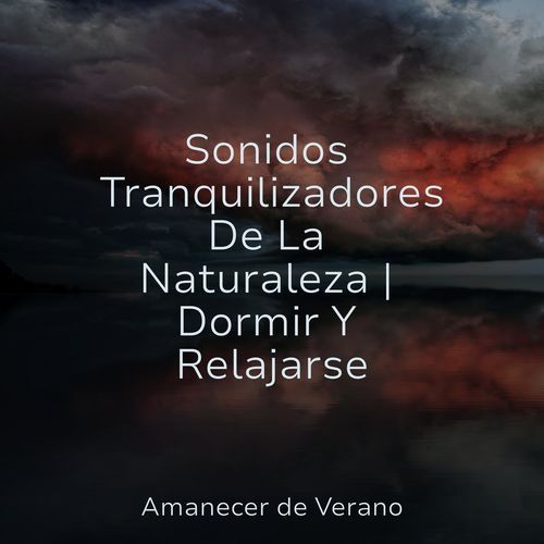 Sonidos Tranquilizadores De La Naturaleza | Dormir Y Relajarse