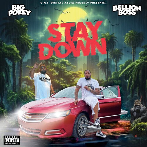 Stay Down_poster_image