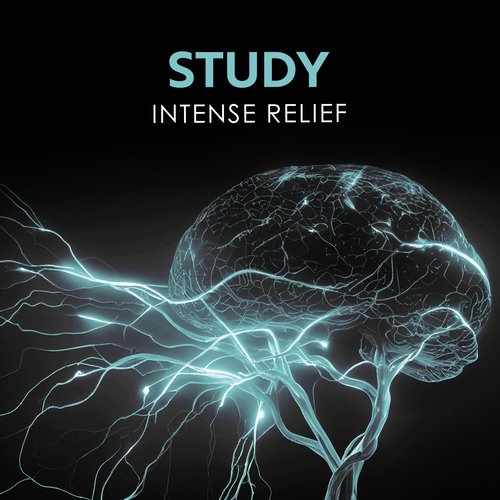 Binaural Beats Concentration cover art
