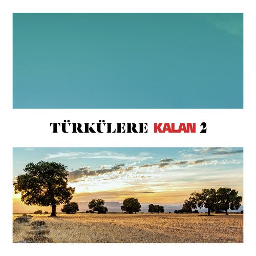 Türkülere Kalan, Vol. 2_poster_image