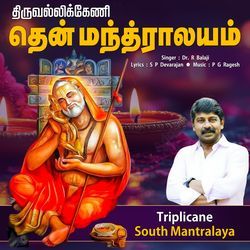 THIRUVALLIKENI MANTRALAYAM