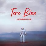 Tere Bina