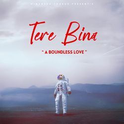 Tere Bina