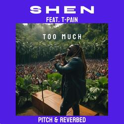 Too Much (feat. T-Pain) (Pitch &amp; Reverbed)-EwUsfkJSYAQ