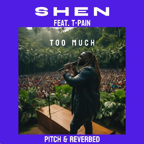 Too Much (feat. T-Pain)