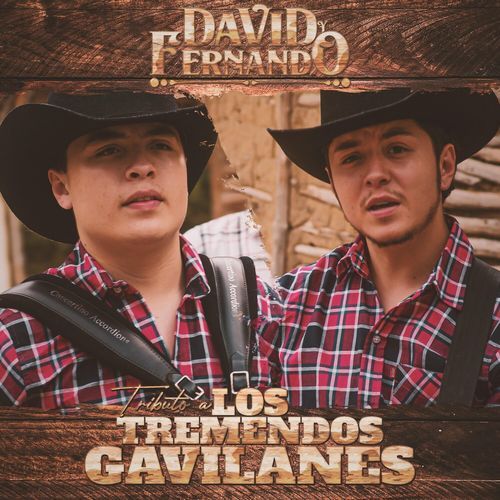 Tributo A Los Tremendos Gavilanes cover art